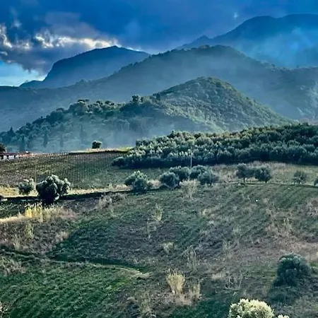 Gerofotis Traditional Est 1892 - Close To Aigio, Akoli, Selianitika Lakka (Peloponnese)