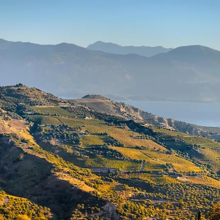 Gerofotis Traditional Est 1892 - Close To Aigio, Akoli, Selianitika