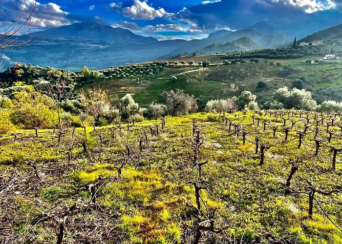 Gerofotis Traditional Est 1892 - Close To Aigio, Akoli, Selianitika