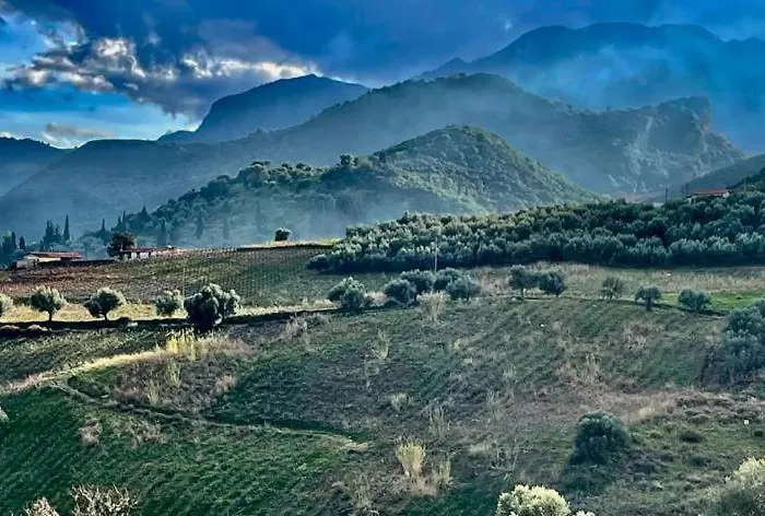 Gerofotis Traditional Est 1892 - Close To Aigio, Akoli, Selianitika Lákka