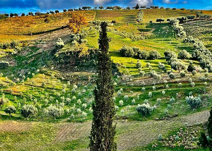 Gerofotis Traditional Est 1892 - Close To Aigio, Akoli, Selianitika فندق