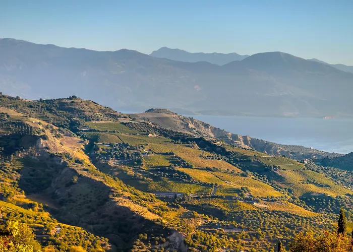 Gerofotis Traditional Est 1892 - Close To Aigio, Akoli, Selianitika